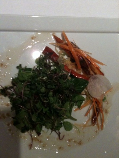 molly's first course: vegetable medley