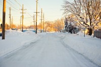 pine avenue