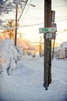 church & pine