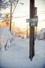 church & pine